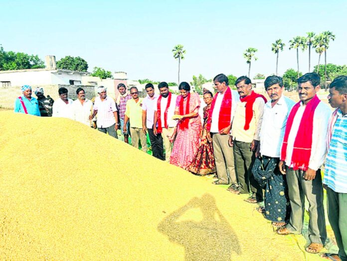 Grain purchases at IKP centers