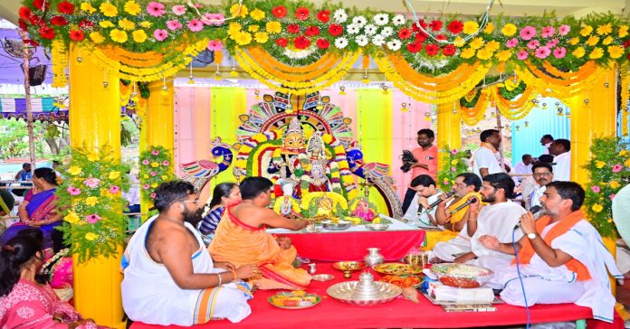Venkatagiri Lakshmi Narasimha Swamy wedding celebrated in grandeur