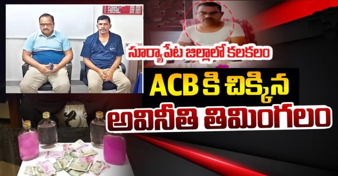 surya pet acb ride
