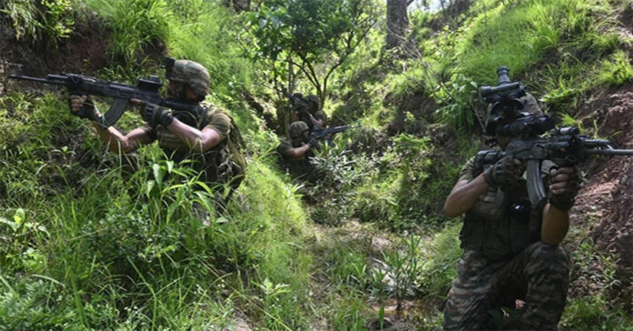 army fir