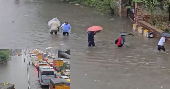 d rain copy