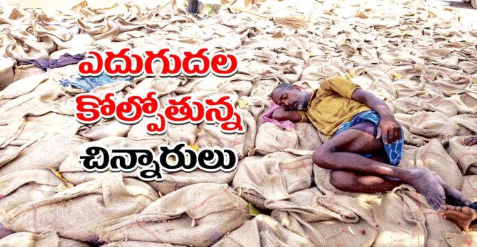 12 crore people not receiving subsidized ration