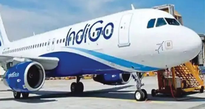 Indigo profits