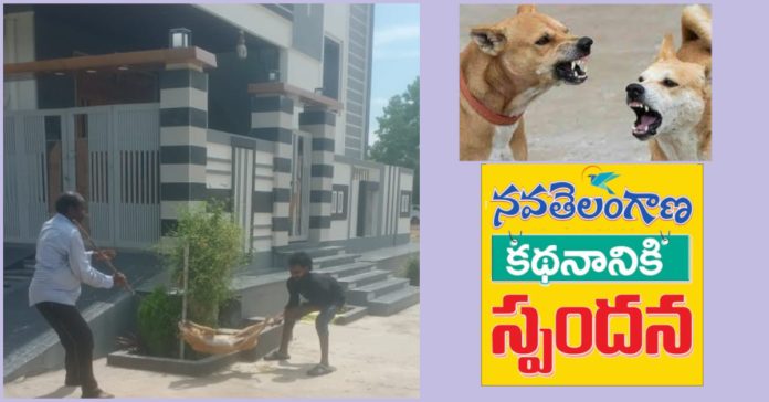 Response to the Navatelangana article