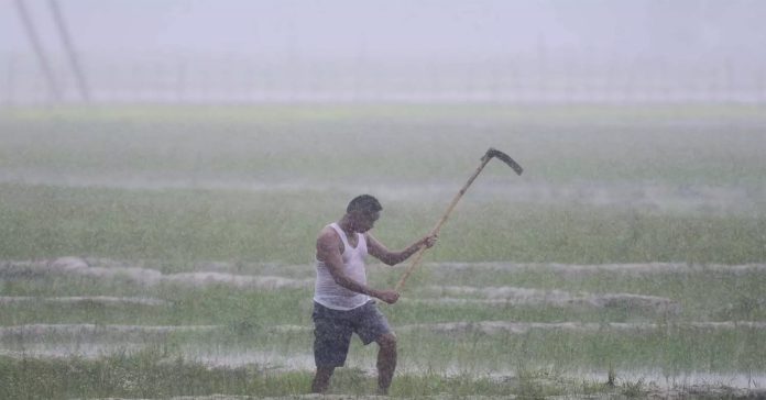 monsoon
