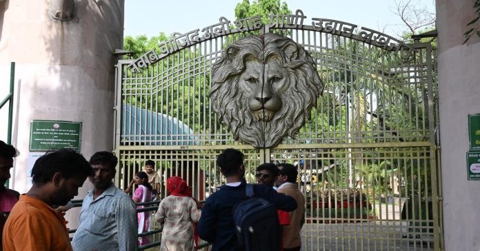 up zoo