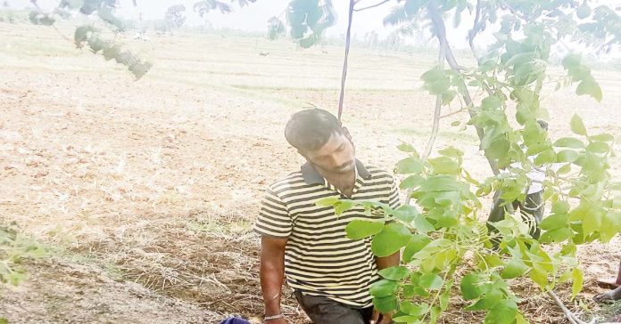 Unable to repay debts, young farmer commits suicide