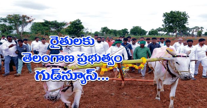 Farmer's assurance during the week