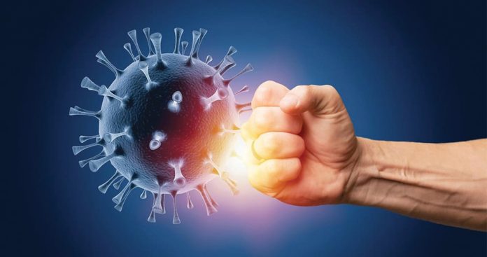 How to boost immunity?