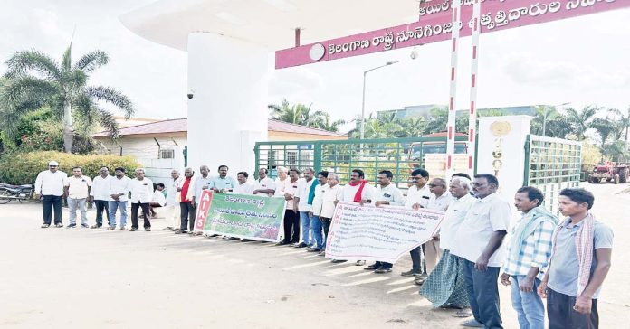Compensation should be given for half-type palm oil trees