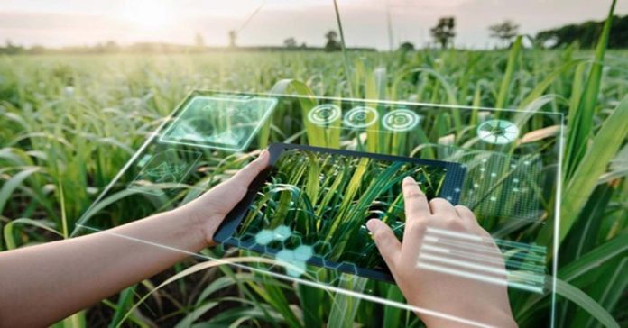 Use of AI in the agricultural sector