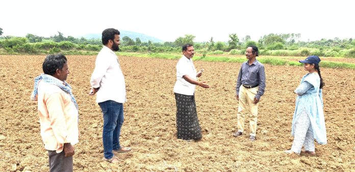 AO Ravikumar supervised the method of scattering rice seeds.