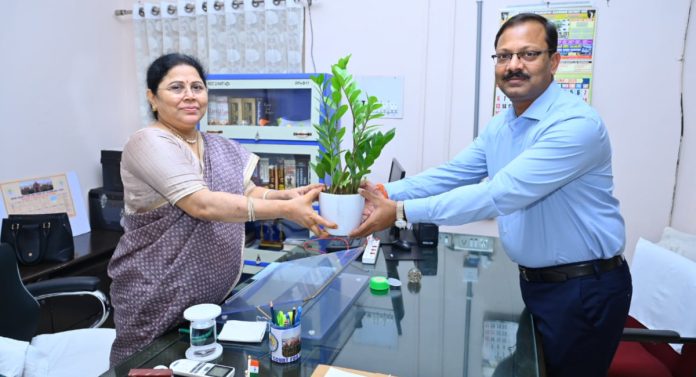 Collector meets judge