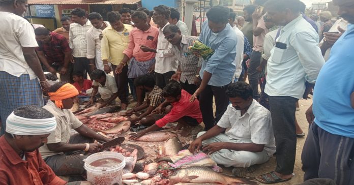 Crowds of people flocking to the area for fish..