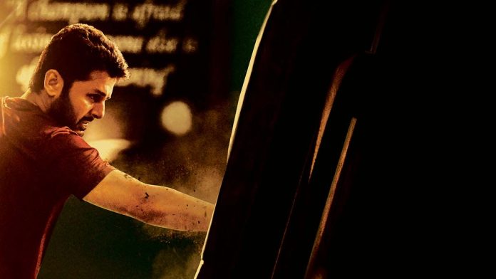 'Thammudu' release date fixed
