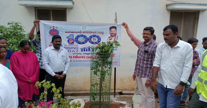 Everyone should plant trees.