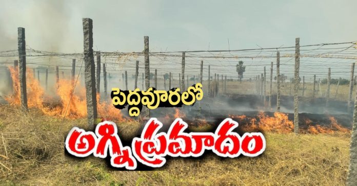 Fire accident in Donda garden..!