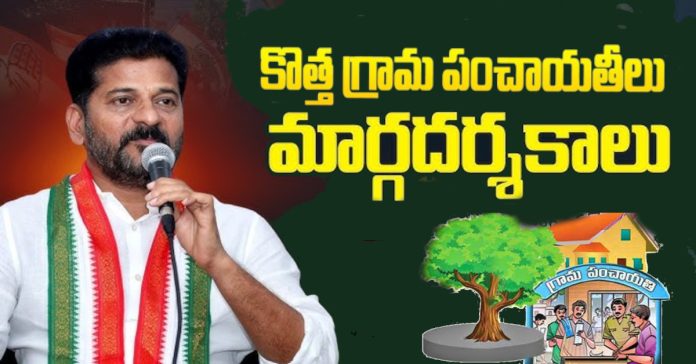 New Gram Panchayat's Guidelines