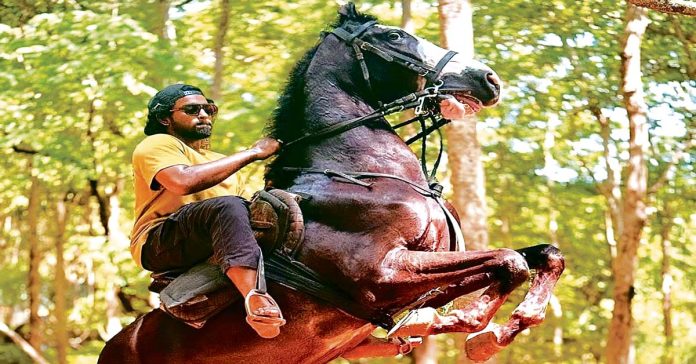 'Mowgli'.. key schedule completed