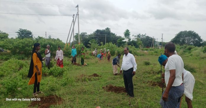 Preparing holes for planting plants