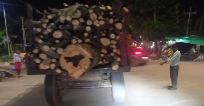 Illegal timber transportation