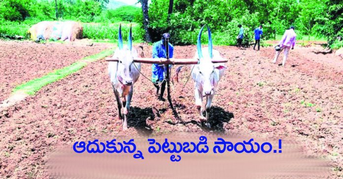 Investment assistance that has helped Adunu.!