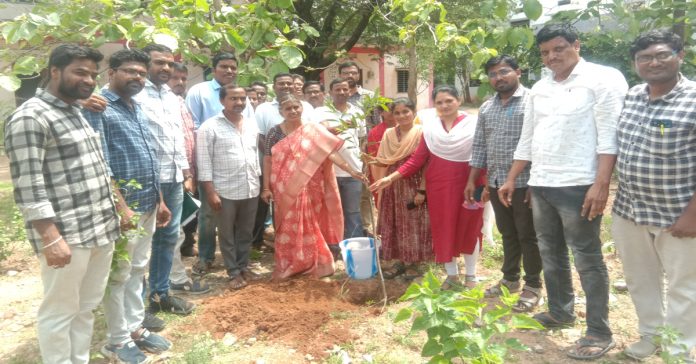 MPDO Rani planted saplings..