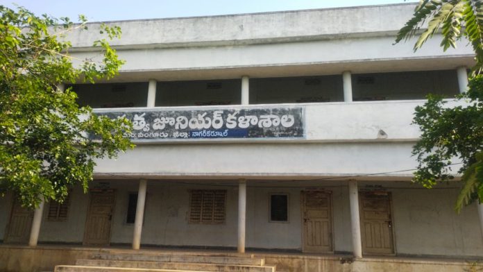 Mahardasha for government junior colleges
