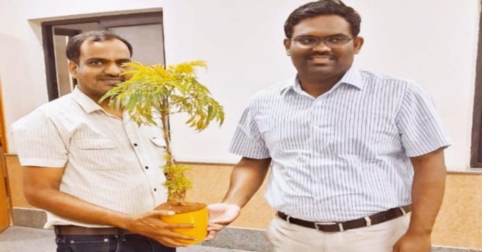 Plant trees and protect the environment: Collector