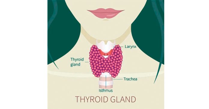Thyroid.. What to eat?