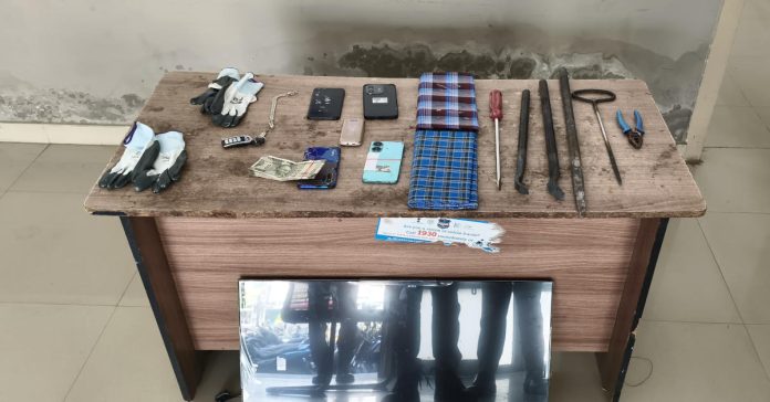 Two members of a gang of thieves arrested
