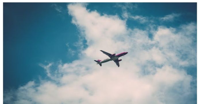 flight