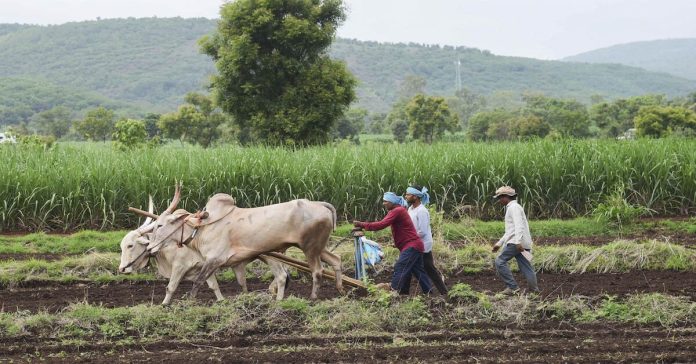 Reduced agricultural development