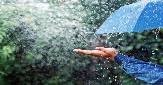 Rain forecas
