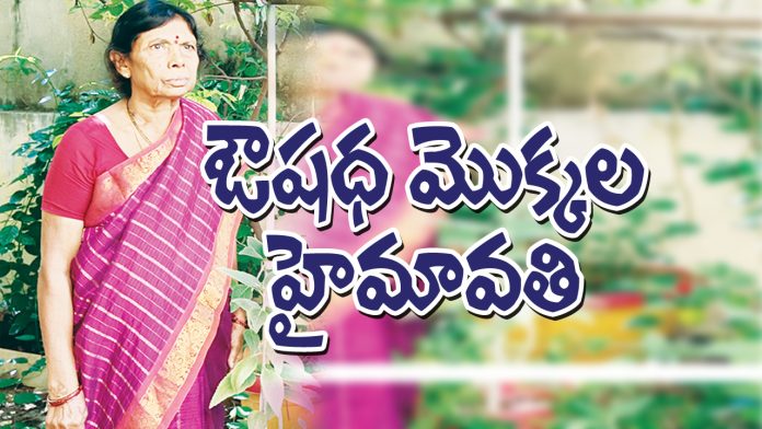 ఔష‌ద మొక్క‌ల హైమావ‌తి