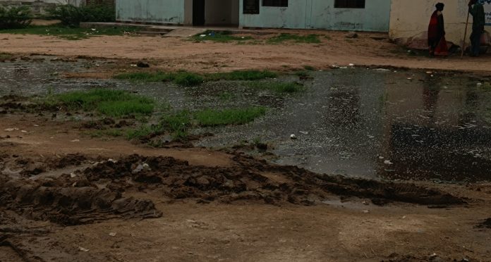Widespread campaign on seasonal diseases