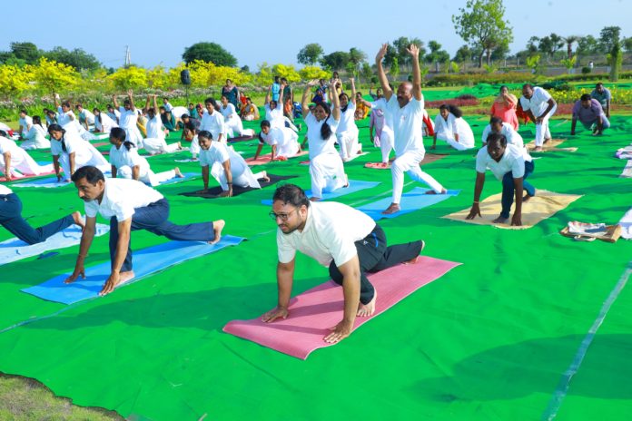 Yoga should be made a part of daily routine: Collector