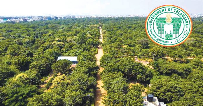 Forest vs. Revenue