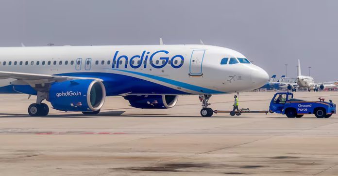 indigi