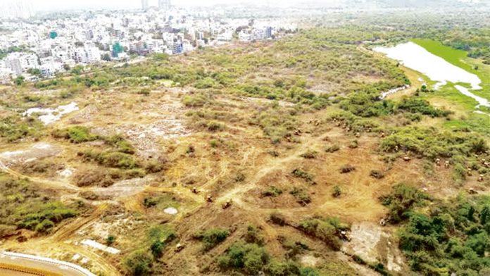 NHRC's response on the Kancha Gachibowli land issue
