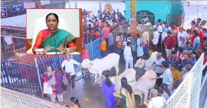 minister-konda-surekhas-serious-comments