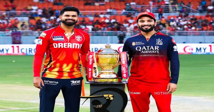 rcb vs pkbs