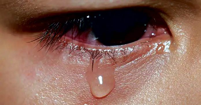 Where do tears come from in the eyes?