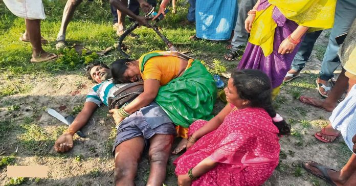 Geeta worker dies after falling from palm tree