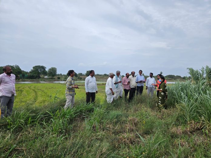 Tahsildar inspects farmer's land after pouring petrol in collectorate