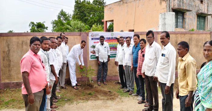 A tree should be planted and protected in the name of one's parents.