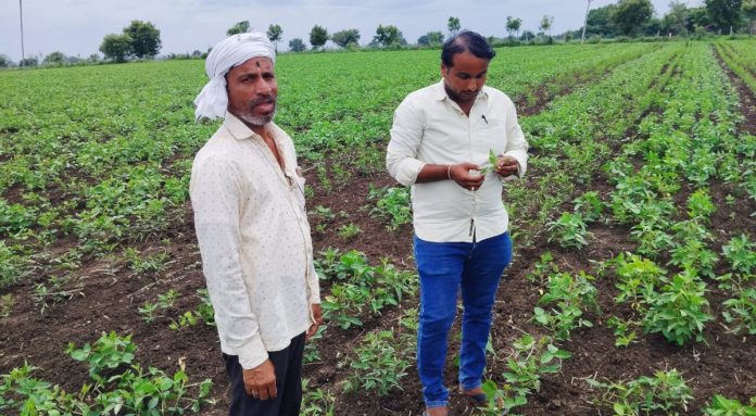 AEO Nagul Gaon inspects Kharif crops