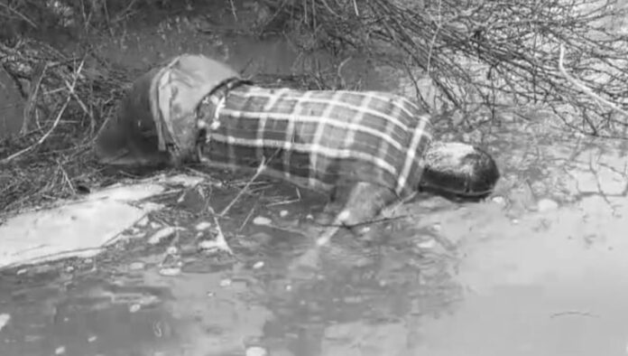 Body of young man who fell into project found