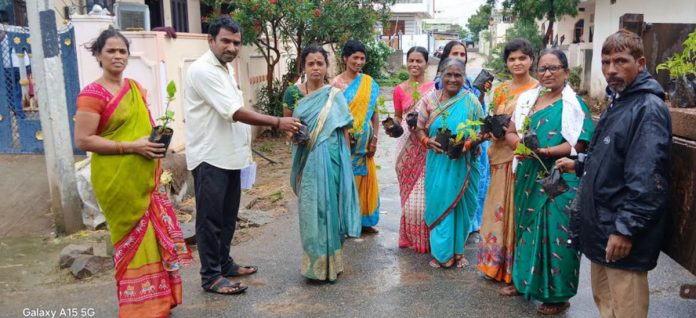 Distribution of plants from house to house in Mamidipalli