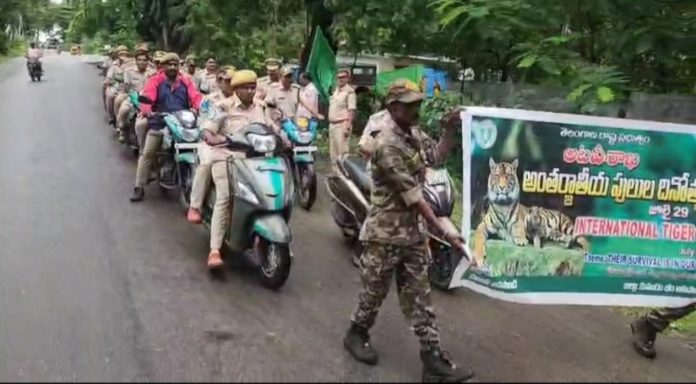 Ecological balance is possible with the protection of tigers